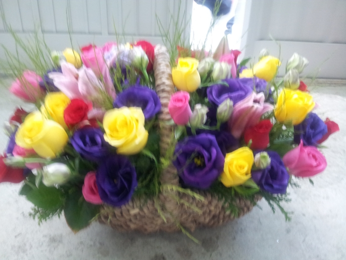 ��������þ� ȥ�չٱ���