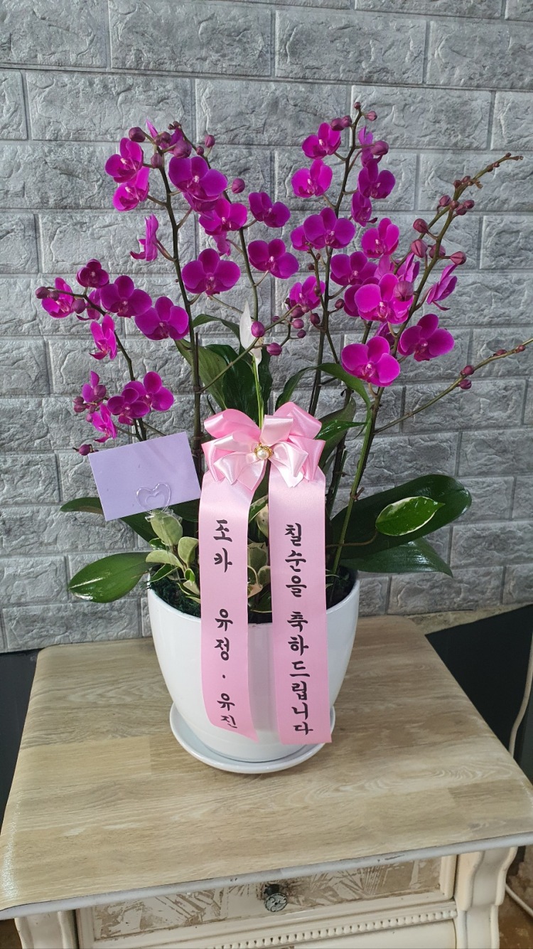 ��õȫ��ۻ����Դϴ�